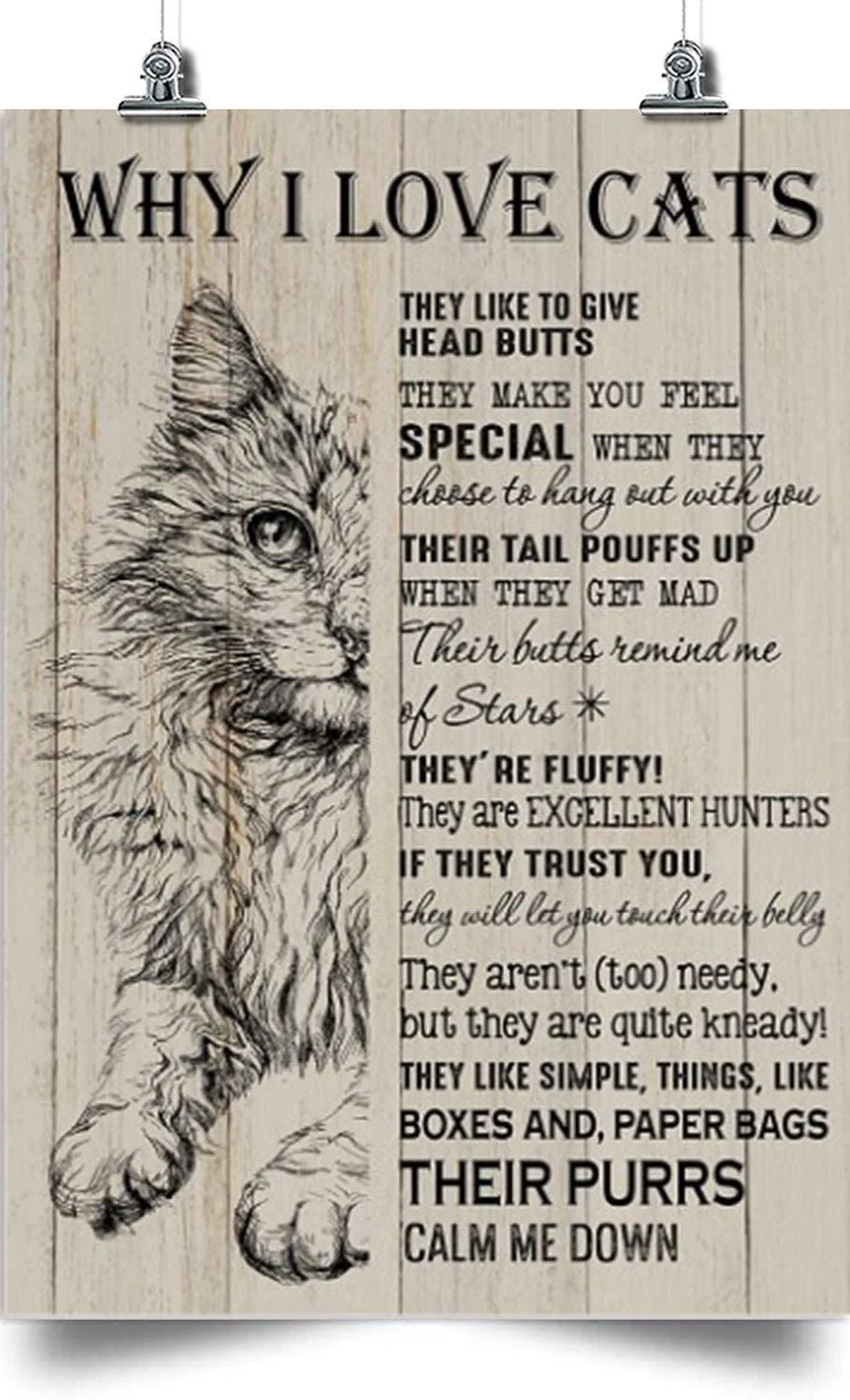 Cat Portrait Canvas - Why I Love Cats Their Purrs Calm Me Down Canvas - Perfect Gift For Cat Lover, Friend, Family - Image 3