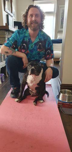 Customized Hawaiian Shirt With Pet Face - Turquoise And Blue Tropical Leaves Pattern Aloha Shirt, Pet Face Shirt - Personalized Gift For Pet Lovers - Image 7