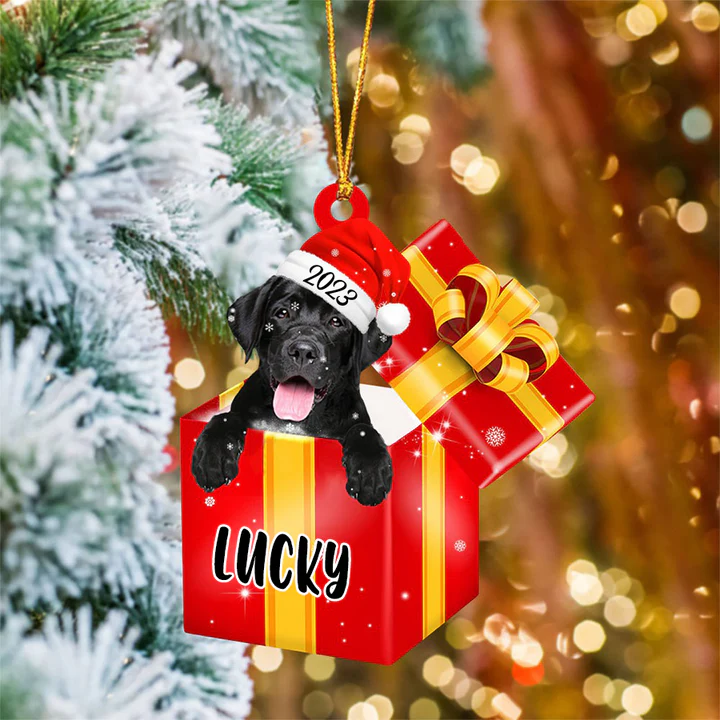 Customized Name Labrador Retriever In Red Gift Box Acrylic Christmas Ornament Personalized Pet Christmas Ornament - Gift For Dog Lovers, Pet Lovers - Image 3