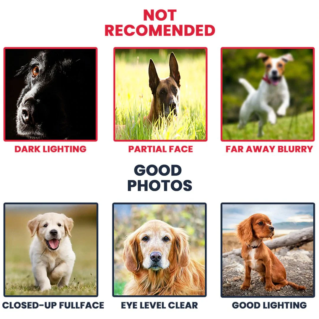 Personalized Dog Landscape Canvas, Remember Canvas, Memorial Gifts Sayings For Loss Of Pet Dog Canvas, Perfect Gift For Dog Lovers, Friends, Family - Image 4
