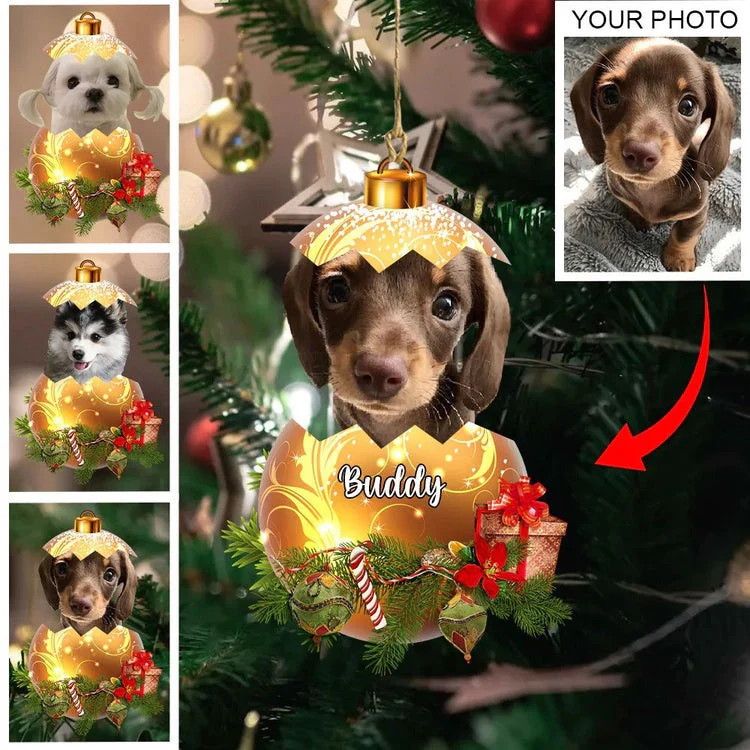 Personalized Gift For Pet Lovers, Custom Image Pet In Egg Car Ornament For Pet Lovers - Image 3