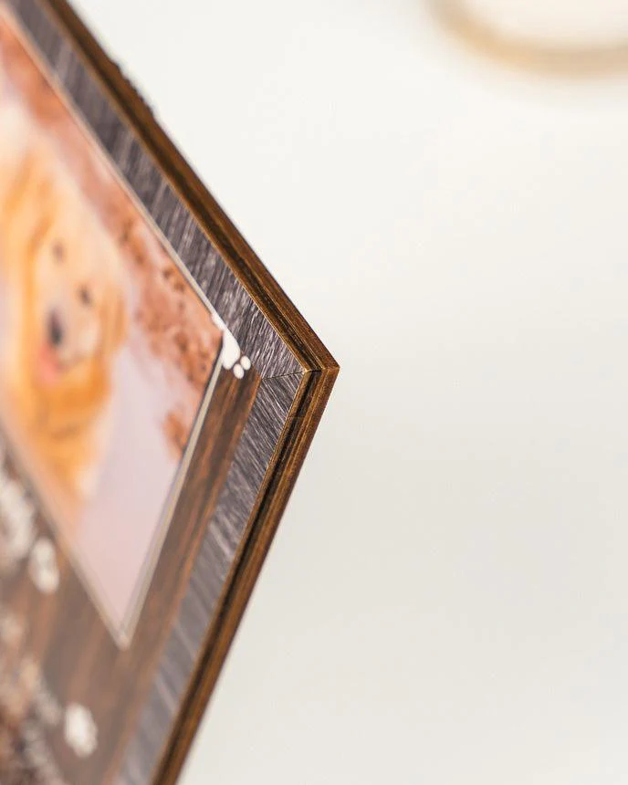 Personalized Pet Collar Frame - Personalized A Bengal Cat Picture Frames, Pet Loss Sympathy, Memorial Pet Collar Sign - Gift For Pet Lovers, Friend - Image 6