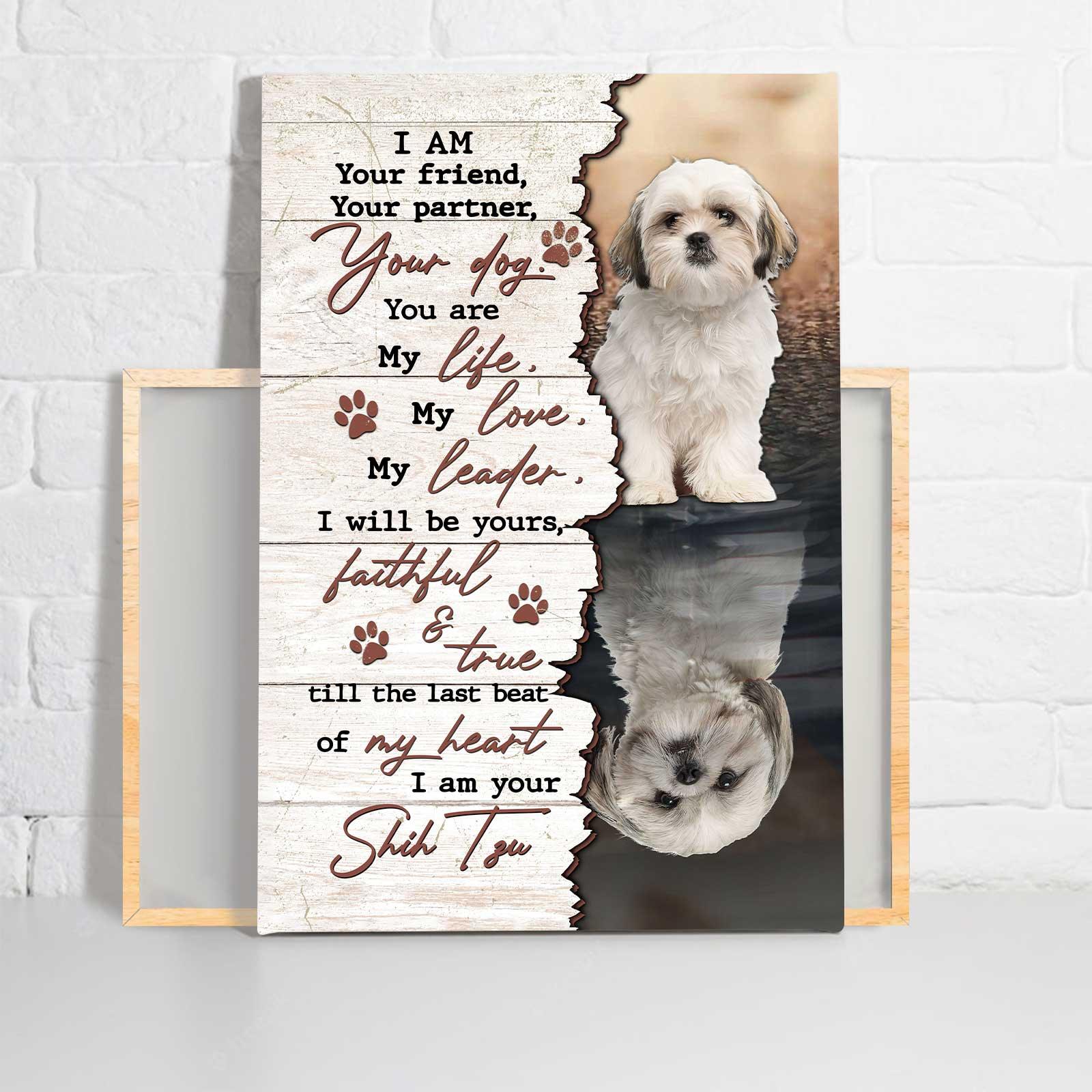 Shih Tzu Portrait Canvas- Shih Tzu painting - Gift for Dog lover- I'm your amazing Shih Tzu - Dog Portrait Canvas Prints, Wall Art - Image 2